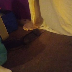 Meet your Posher, Thomas